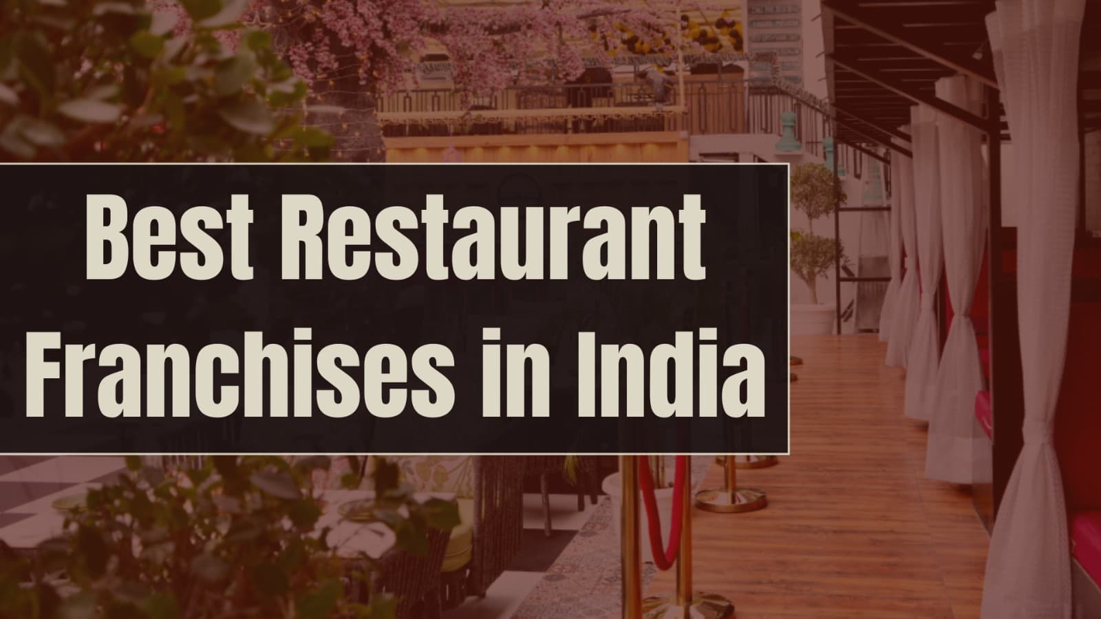Restaurant Franchises in India: A Complete Guide for Aspiring Entrepreneurs