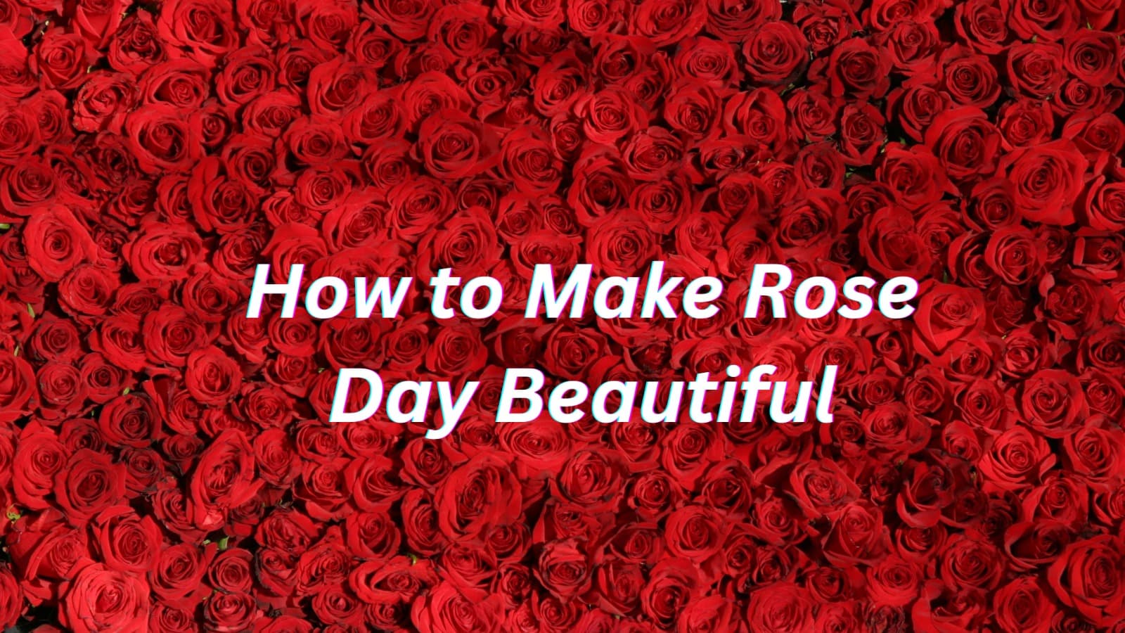 How to Make Rose Day 2026 Unforgettable: Romantic Ideas for an Extraordinary Celebration