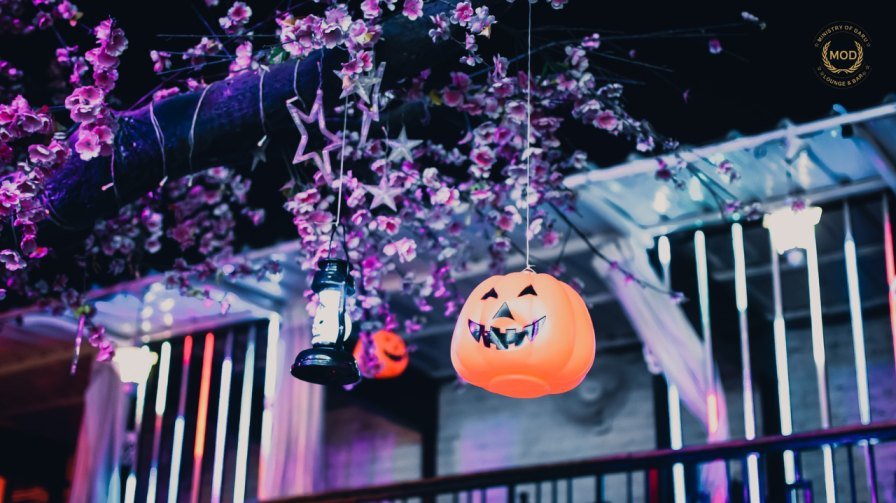 Halloween Party 2025 in Noida